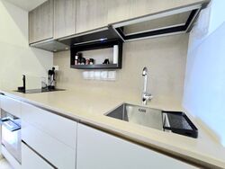 The Avenir (D9), Condominium #535991091